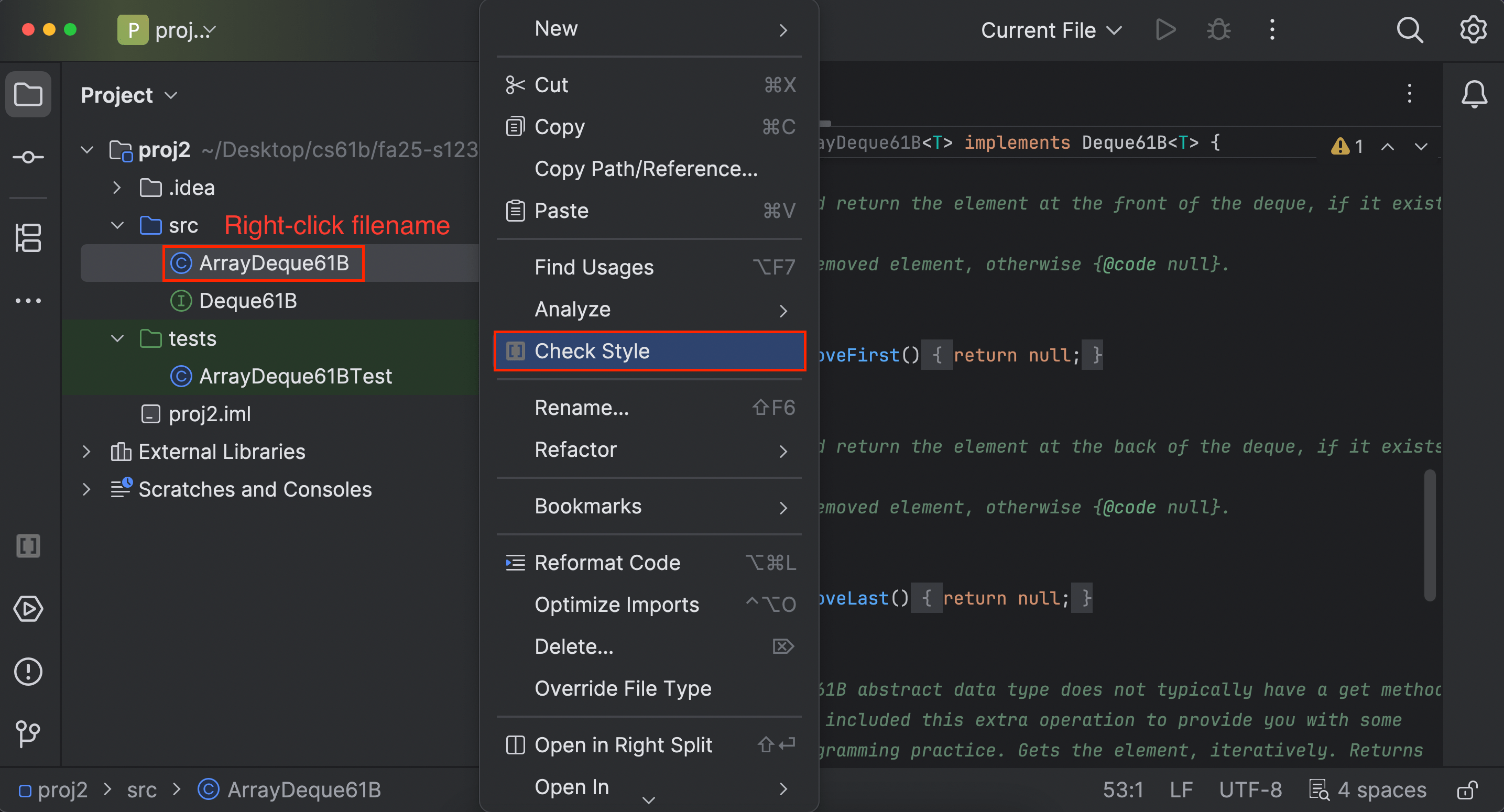 Run style checker in IntelliJ