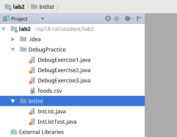 IntelliJ Import Error